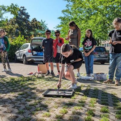 Pxl 20240610 074823860.mp