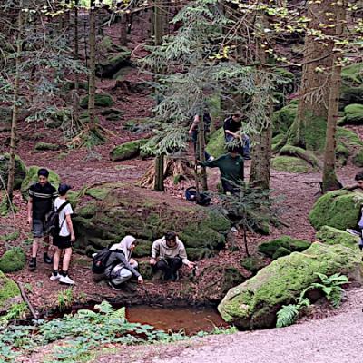 Wanderung Luchspfad am 22.7.204